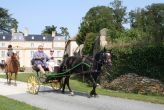 rencontre insolite au Château de la Bellière